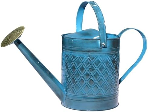 Home & Garden MPT01503 Robert Allen MPT011503 Wexley Metal, 2 Gallon, Mountain Waves 5 Gallon Watering can, 2 gal