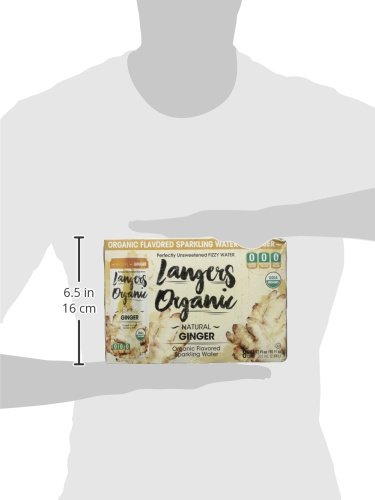 Langers Organic Flavored Sparkling Water, Ginger, 12 Fl Oz (Pack of 8)