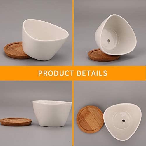 Succluent Pots ，Small Flower Pots Planter Pots with Drinage,Ceramic Flowers Pots with Bamboo Tray for Cactus(12 Pack)