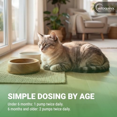 Vetoquinol Enisyl-F - Lysine Supplement for Cats - Daily Immune Support - Everyday Feline Health Support - Tasty Oral Paste - Tuna Flavor, 3.5oz Pump