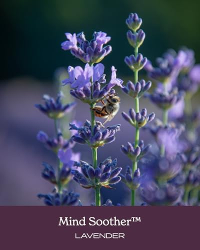 Herb Pharm Mind Soother: Lavender Liquid Herbal Formula with Noble Kava & Lavender Essential Oil for Nervous System Support, Calming & Relaxing, Vegan