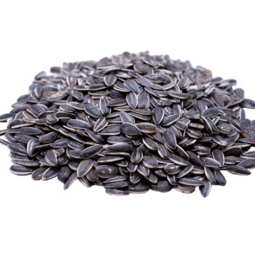 Lightly Sea Salted Sunflower Seed in Shell by Gerbs - 2 LBS - Top 11 Food Allergen Free & Non GMO - Premium Dry Roasted Seeds – COG USA | Small Batch, No Artificial Additives, Resealable Bag | Crack-and-Eat Crunchy Snack | Top 14 Allergen-Free