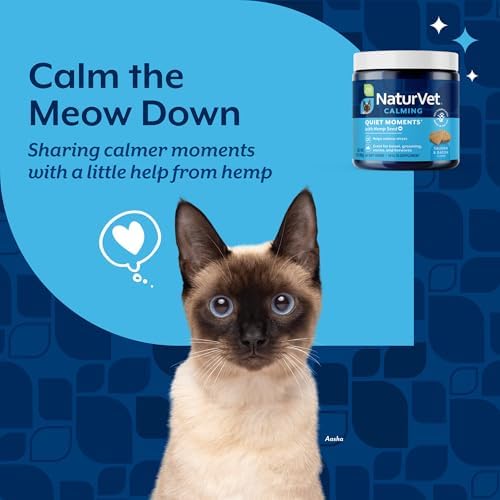 NaturVet Quiet Moments Calming Plus Melatonin Cat Supplement - 50 Count | Calming Aid for Cats - Reduce Stress, Pet Storm Anxiety, Motion Sickness - Great for Grooming, Separation and Travel