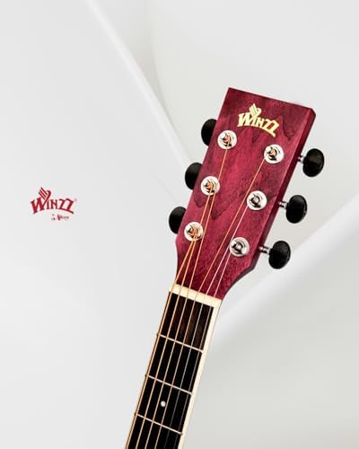 Winzz 40 Inches Acoustic Steel-string Guitar Beginner, Elegant Unique Color Design (Blue-green)