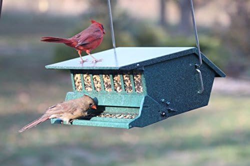 Audubon Bird's Delight Squirrel Resistant Bird Feeder Model 7511i