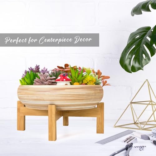 Succulent Pot, 10'' Ceramic Pots for Indoor Plant Shallow Succulent Planter