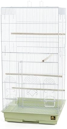 Prevue Pet Products SPECONO1818H-SG Tall Tiel Cage, Sage Green