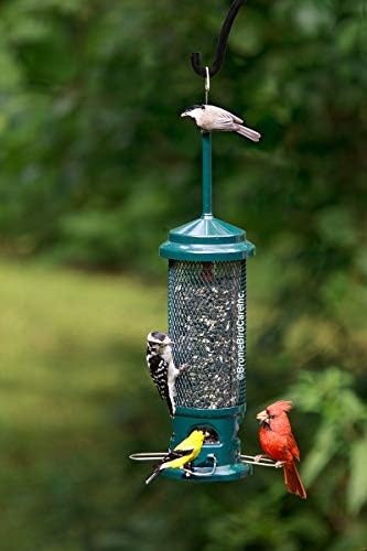 Squirrel Buster Legacy Squirrel-Proof Bird Feeder for Wild Birds – 4 Metal Removable Perches, 2.6 lb Seed Capacity, Chew-Proof Design, Easy to Clean, Green | Four removable metal perches, chew-proof construction, tool-free cleaning