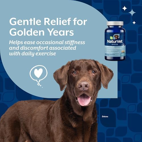 NaturVet Soreness Relief Senior Supplements for Dogs, Hickory Smoked Bacon Flavor, 60 Chewable Tablets