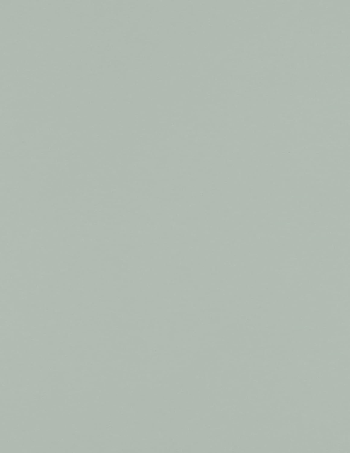 LUXPaper 8.5" x 11" Paper | Letter Size | White | 80lb. Text | 100% Recycled | 50 Qty
