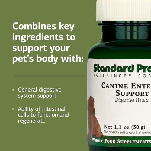 Standard Process Inc. Canine Enteric Support - Digestive System Support for Dogs - Nutritional Dog Supplement for Gut Health - Canine Supplement Formula to Aid Healthy Digestion - 30 g