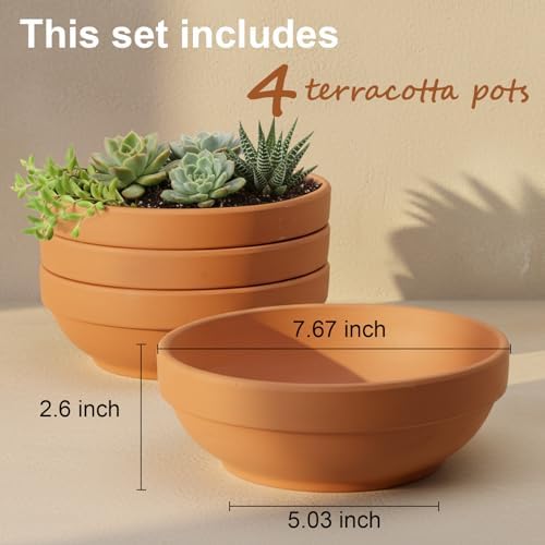 Laerjin Terracotta Pots, 6.43 Inch Shallow Pots with Drainage Hole, 6 Pack