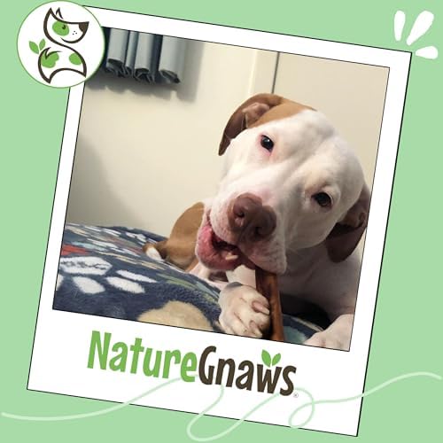 Nature Gnaws Bully Sticks 6" Long Lasting Rawhide Free Dog Chews, 8 oz