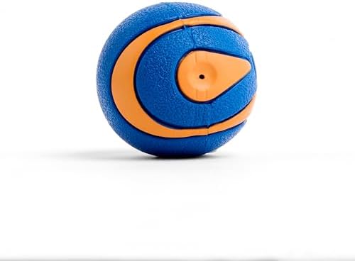 Chuckit! Ultra Ball Dog Toy, Balls for Dogs to Fetch, Durable Rubber, Small 2-inch, Pack of 2