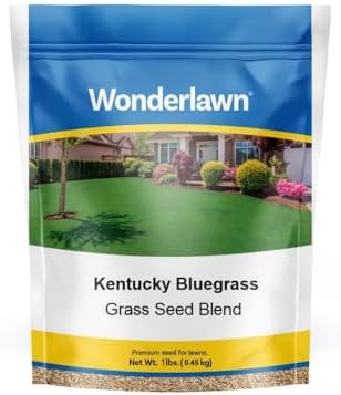 BARENBRUG USA TVKBG7 TV 7 lb Kentucky Bluegrass Seed