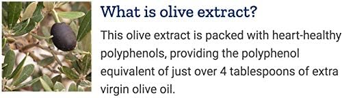 Life Extension Super Omega-3 EPA/DHA Fish Oil, Sesame Lignans & Olive Extract – Heart Health, Brain Health, Inflammation Health Support, Gluten-Free, Easy to Swallow, Non-GMO, 240 Softgels