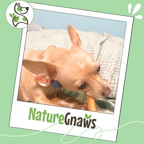 Nature Gnaws Bully Stick Bites 2-4" Rawhide Free for Small Dogs, 8 oz