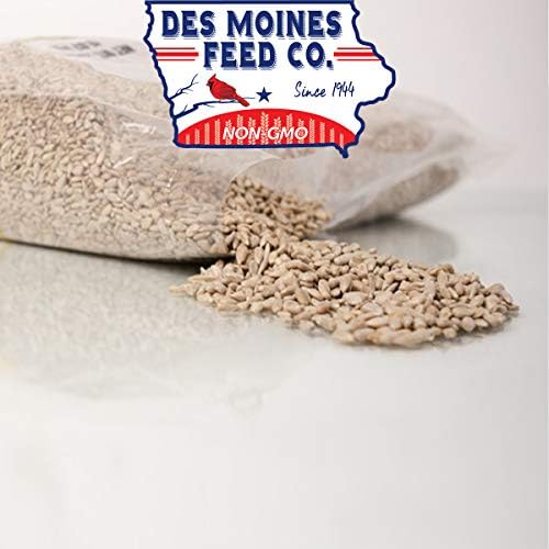 Sunflower Chips (Hearts) Medium Sized All Natural Wild Bird Food Birds Love (20)