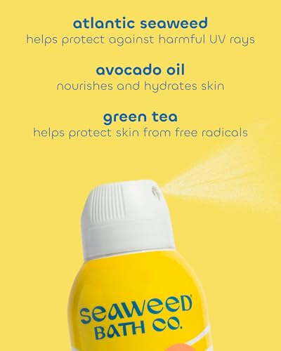 Seaweed Bath Co. Clear Guard SPF 40 Sport Broad Spectrum Sunscreen, 6 oz