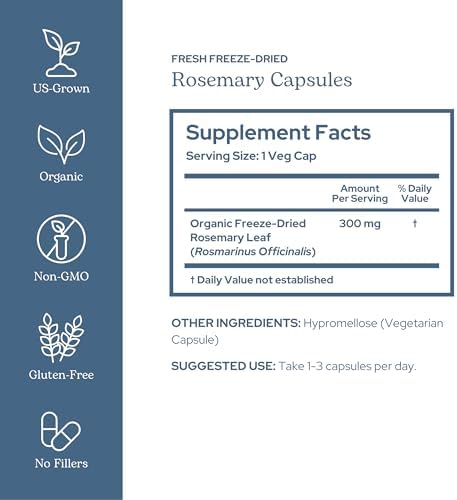 Eclectic Herb - Rosemary Capsules | Cognitive Support, Memory & Brain Health | Mood Support | Herbal Supplement | Vegan, Non-GMO, Gluten Free