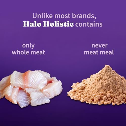 Halo Holistic Dry Cat Food for Sensitive Stomach, Wild-Caught Whitefish Natural Adult Cat Kibble with Healthy Grains, Probiotics & Omega Fatty Acids for Skin and Coat Health, 6 lb Bag
