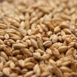 Rahr Standard 2-Row Uncrushed Malt - 1 lb. Bag by Strange Brew