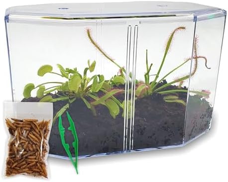 Venus Fly Trap and Sundew Live Plant Set with Terrarium and Food Bundle | 2 carnivorous plants together, protein-packed food