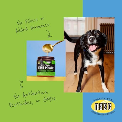 Joint Power Supplement Powder for Dogs & Cats, 2.64 oz Jar | Joint Supplement Powder made with 100% Green Lipped Mussels to Support Joints, Tendons, and Ligaments