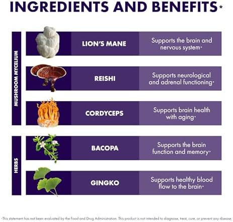 Host Defense MycoBotanicals Brain* Capsules - Brain Support Supplement with Lion's Mane, Reishi & Cordyceps Mushroom - Herbal Supplement for Memory & Focus Support - 60 Capsules