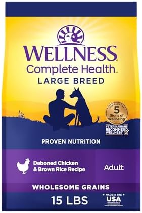 Wellness Complete Health Large Breed Puppy Dry Dog Food, Wholesome Grain Kibble, Natural, Chicken, Brown Rice and Salmon Meal Recipe, 30 lb Bag