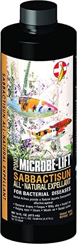 MICROBE-LIFT Sabbactisun Disease Treatment for Ponds and Outdoor Water Gardens, Disease Expellant for Pond Fish, 16 Fl Oz