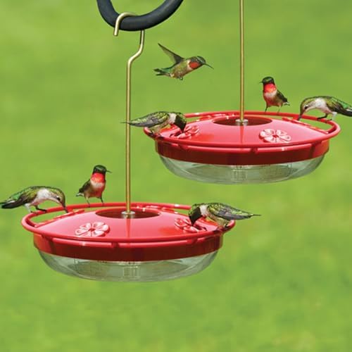Aspects HummZinger Highview Hanging Hummingbird Feeder - 429, Red,12 oz (Pack of 2)