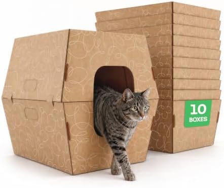 Cats Desire - Disposable Litter Boxes for Cats