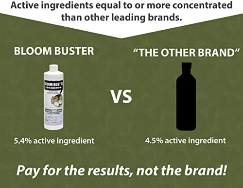 Bloom Buster Pond Algae Control - 16oz - Fast Acting Algaecide, Use in Fountains & Outdoor Ponds Containing Koi & Other Fish - EPA Registered