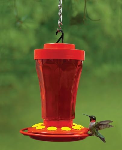 First Nature 993091-546 16 oz. Hummingbird Flower Feeder , Red | Bright Flower Ports Attract Birds - Round Bottom Perch Fits Multiple Birds - See-Through Tank Shows Nectar Levels