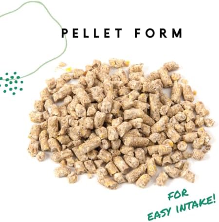 Manna Pro Layer Crumbles Chicken Feed, 16% Protein, Digestive Aid, 8 lb Bag | Complete Feed for Laying Hens, 16% Protein Formula, Added Probiotics, Supports Egg Production & Digestion