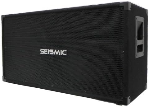 Seismic Audio - 215 Bass Guitar Speaker Cabinet 2x15 PA DJ 600 Watts Dual