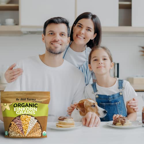 Organic Einkorn Farro Grain 4.8 lb - Einkorn Wheat Berries Bulk Whole | Ancient Grains Ideal for Soup, Flour, Bread - High in Fiber - USA Grown | USDA Certified | Vegan | Non-GMO