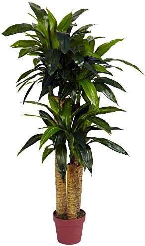 Nearly Natural 35in. Sansevieria with Black Planter and 4ft. Corn Stalk Dracaena Silk Plant (Real Touch), Green