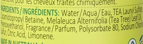 Thursday Plantation Tea Tree Scalp Care Shampoo - Tea Tree Oil + Sulfur for Daily Use, Soothes Flaky, Itchy Scalp, Dandruff for Soft