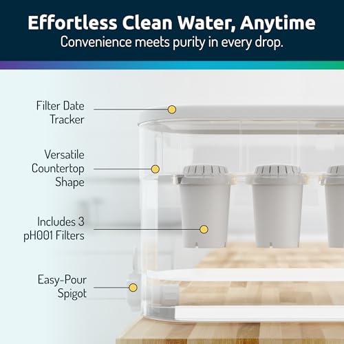 Invigorated Water Alkaline Water Filter Dispenser, 53-Cup Large Capacity