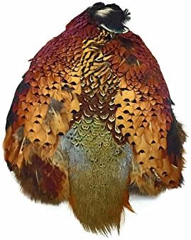 Complete Natural Ringneck Pheasant Skin Pelt Without Wing and Tails (Bulk) Fly Tying Dog Training | Amazon | Moonlight Feather