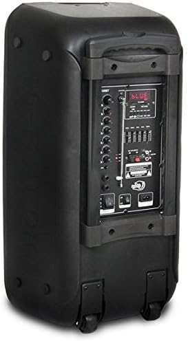 Dolphin Bluetooth Party Speaker with 2 Wireless Mics, Dual 10" Woofers | 1000W Output, SD/FM/USB/AUX/RCA, Guitar & Mic Inputs, Multicolor LED Lights