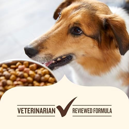 Nutrish Dish Dry Dog Food, Beef Recipe, 11.5 lb. Bag (Rachael Ray) | Made with Brown Rice and Veggies & Fruit Blend, Veterinarian Reviewed Formula, Complete & Balanced Nutrition For Dogs