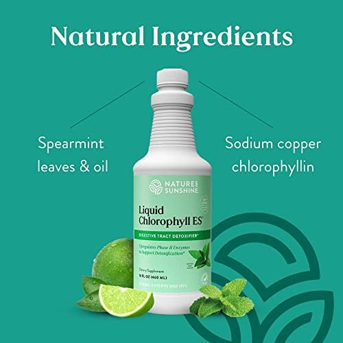 Nature's Sunshine Liquid Chlorophyll Extra Strength - Immunity Support, Detox & Cleanse, Chlorophyll Liquid Drops with Spearmint Oil, Natural Energy Boost, Internal Deodorant - 16 Fl Oz