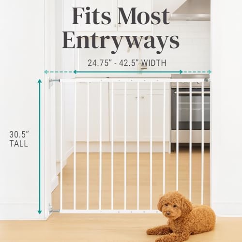 KidCo 24.75-42.5" Safeway Walk Through Baby Gate for Stairs and Doorways | No-Trip Top of Stairs Baby Gate No Bottom Bar | Quick-Release Mounted Hardware for Security and Easy Removal (Black)