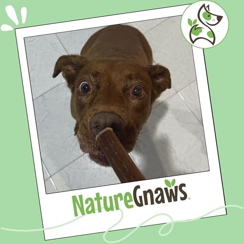 Nature Gnaws Bully Sticks 6" Long Lasting Rawhide Free Dog Chews, 8 oz