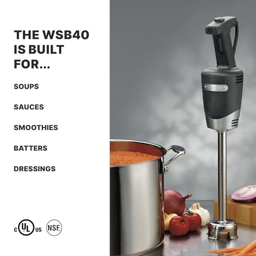 Waring (WSB40) 10" Medium-Duty Quik Stik Plus Immersion Blender,Black/Silver