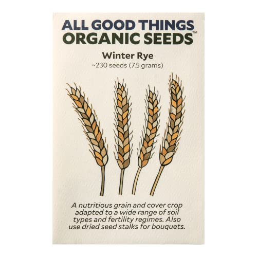 All Good Things Organic Hard Red Spring Wheat Seeds for Planting: 200 Count | Classic Bread-Baking Wheat, High-Protein Hard Red Kernels, Homestead Grain Plot Staple, Doubles as Cover Crop, Non-GMO