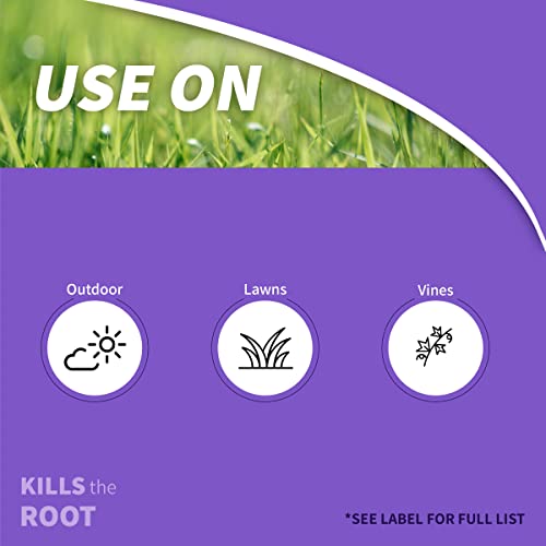 Bonide Poison Oak & Ivy Killer, 32 oz Ready-to-Use Spray | For Home Gardening, Fast-Acting Formula, Kills the Roots